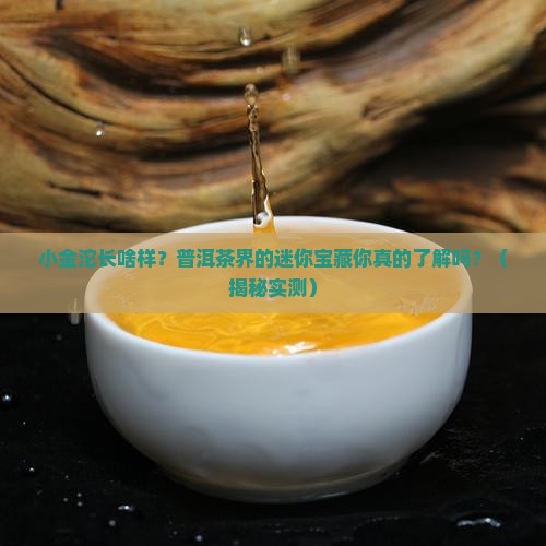 普洱茶小金沱的样子