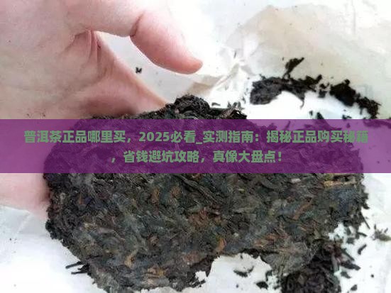 普洱茶正品哪里买