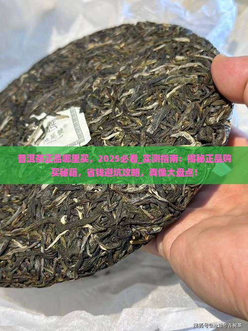普洱茶正品哪里买