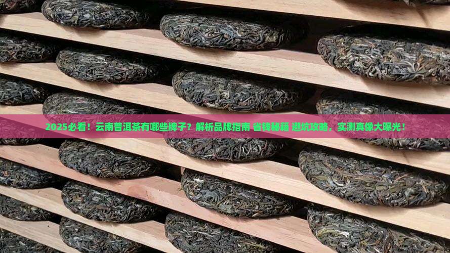 请问云南普洱茶有哪些牌子