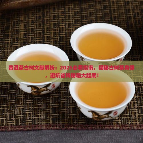 普洱茶古树文献介绍