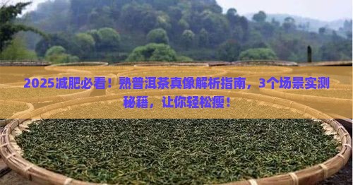 熟普洱茶减肥功效怎样