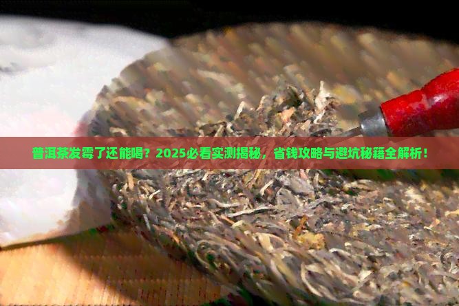 普洱茶有发霉现象吗能喝吗