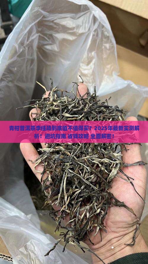 青柑普洱茶李佳琦
