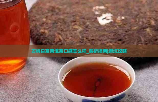 古树白茶普洱茶口感怎么样