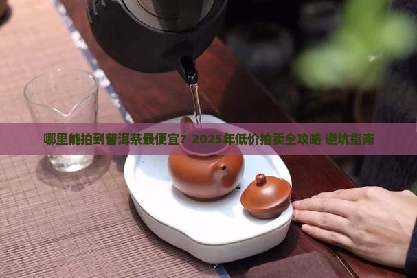哪里能拍卖普洱茶价格最低