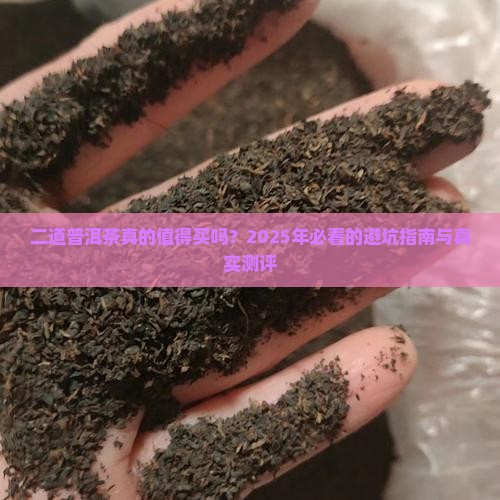 二道普洱茶品牌