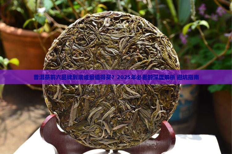 普洱茶前六品牌排行表和价格