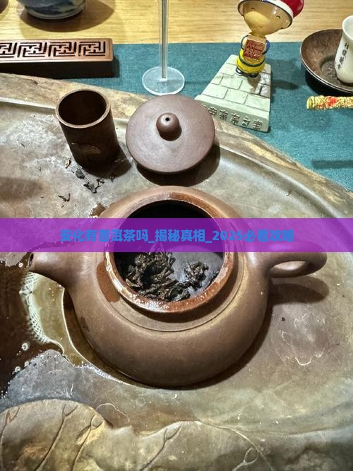 安化有普洱茶吗