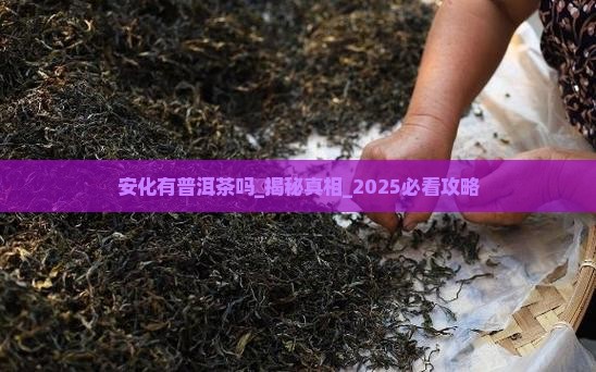 安化有普洱茶吗