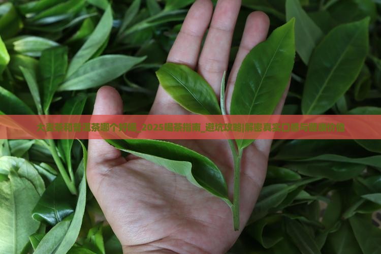 大麦茶和普洱茶哪个好喝