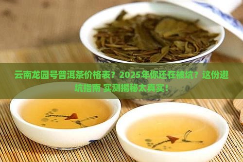 云南龙园号普洱茶价格表