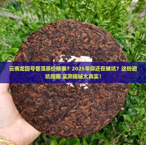 云南龙园号普洱茶价格表