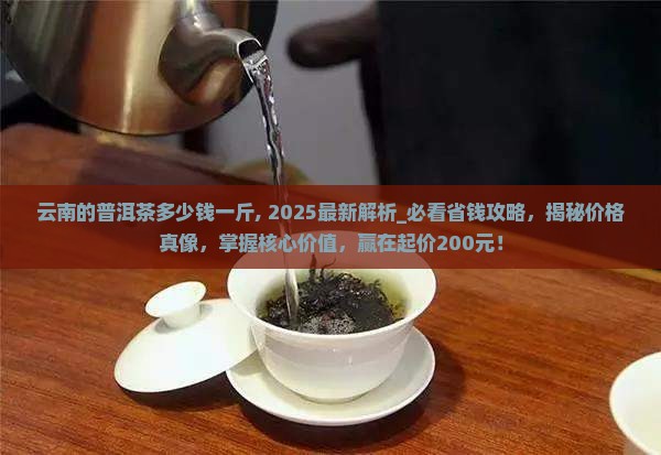 云南的普洱茶多少钱一斤