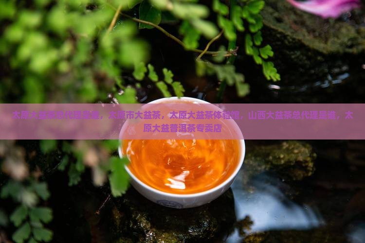 太原大益茶总代理