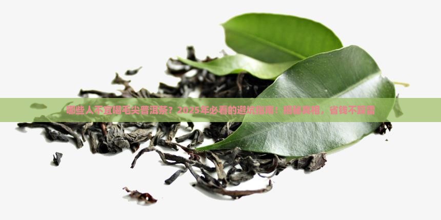 哪些人不宜喝毛尖普洱茶