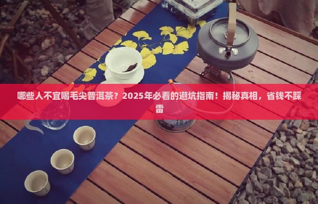 哪些人不宜喝毛尖普洱茶