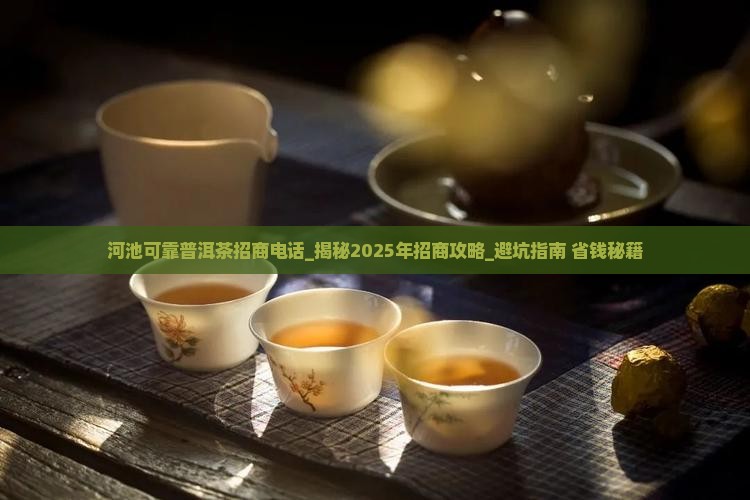河池可靠普洱茶招商电话