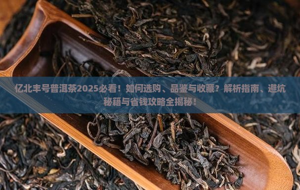 亿北丰号普洱茶