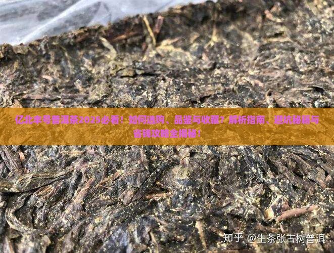 亿北丰号普洱茶
