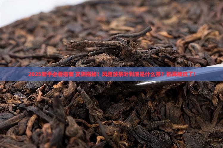 风雅颂茶叶是什么茶