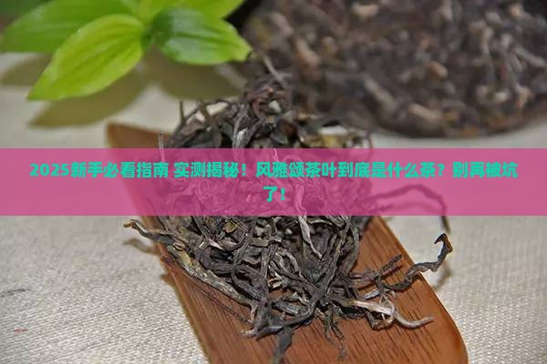 风雅颂茶叶是什么茶