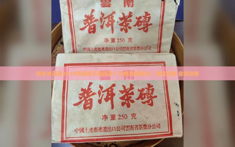 桥本冰岛茶2019价格