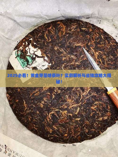 黄金芽是啥茶叶