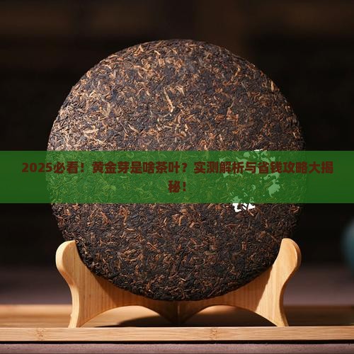 黄金芽是啥茶叶