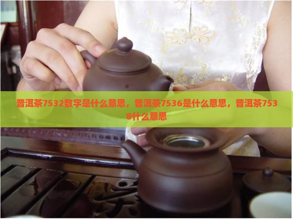 普洱茶7532数字是什么意思
