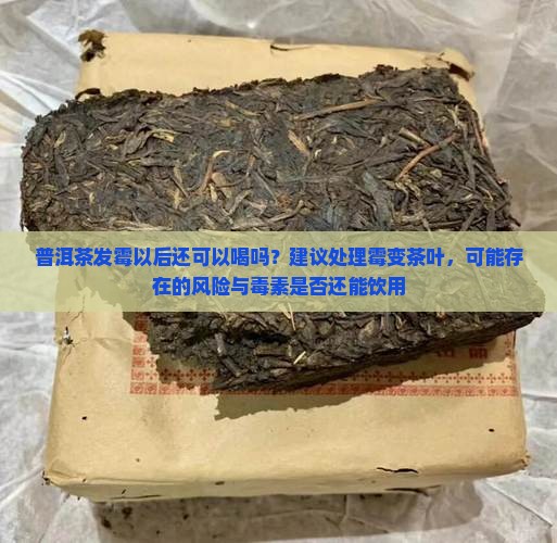 普洱茶发霉以后还可以喝吗
