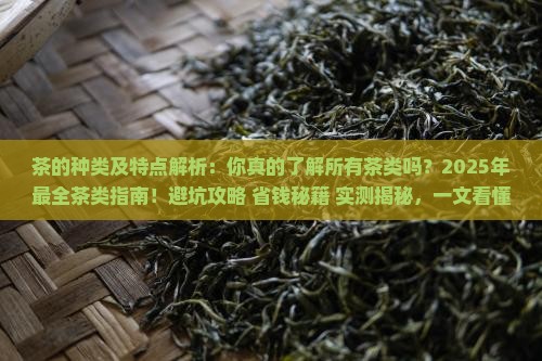 茶的种类及特点