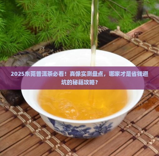 东莞普洱茶哪家好些