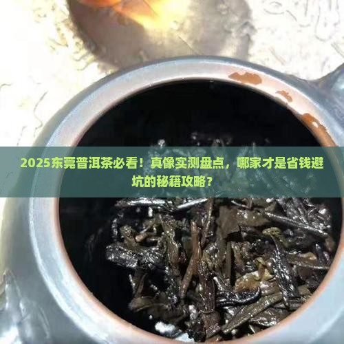 东莞普洱茶哪家好些