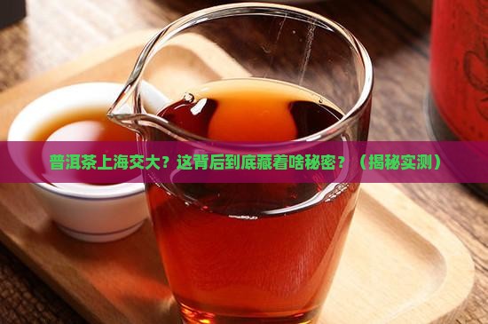 普洱茶上海交大
