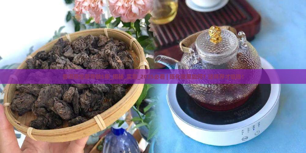 普洱茶生茶存放5年