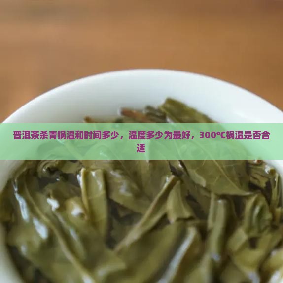 普洱茶杀青锅温和时间