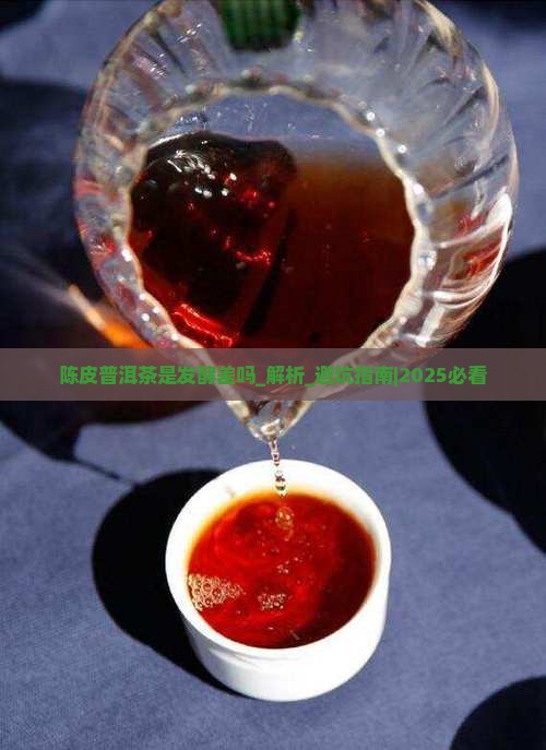 陈皮普洱茶是发酵差吗 陈皮普洱茶是发酵差吗