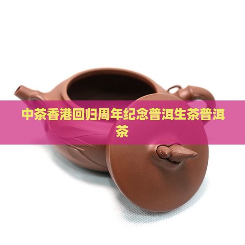 中茶香港回归十年纪念版生茶