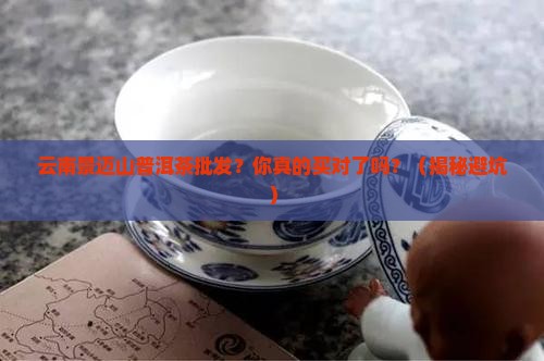 云南景迈山普洱茶批发
