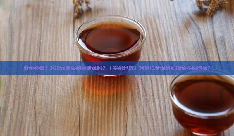 念茶仁普洱茶多少钱