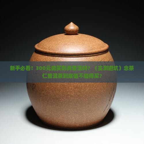 念茶仁普洱茶多少钱
