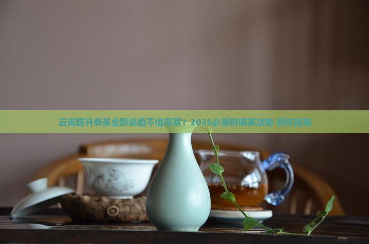 云南圆升泰茶业