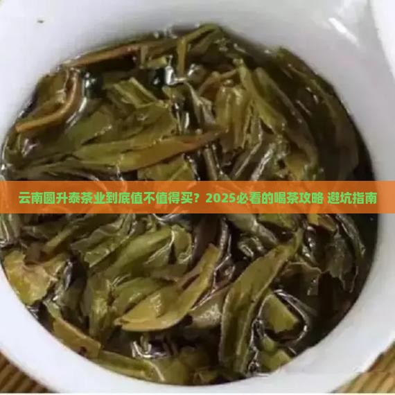 云南圆升泰茶业