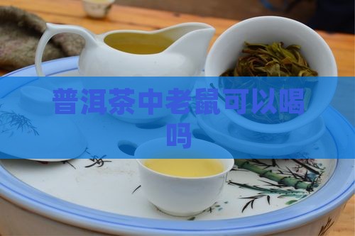 普洱茶中老鼠可以喝吗
