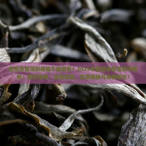 老班章普洱标杆测评