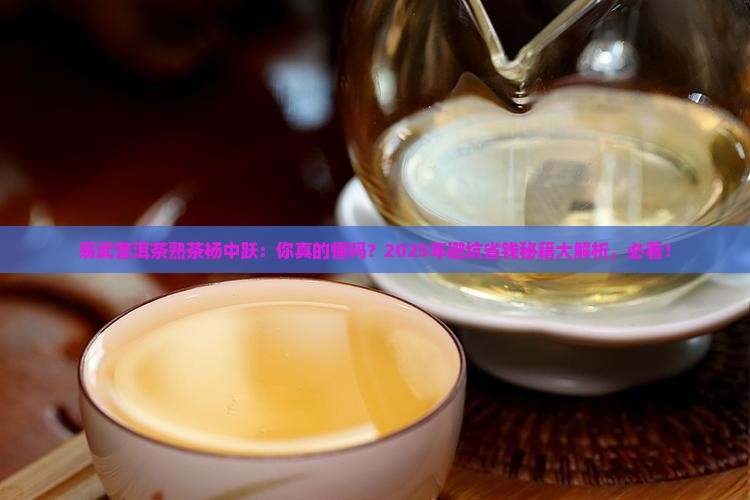 易武普洱茶熟茶杨中跃