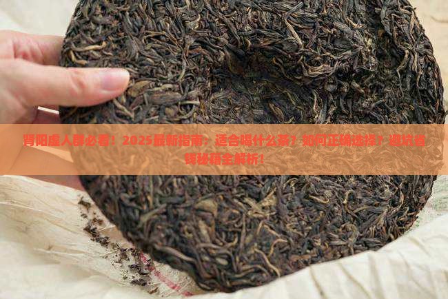 肾阳虚的人适合喝什么茶