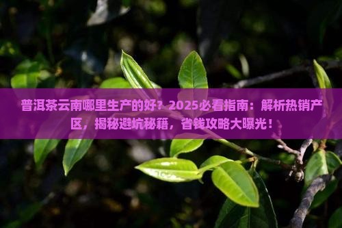 普洱茶云南哪里生产的好