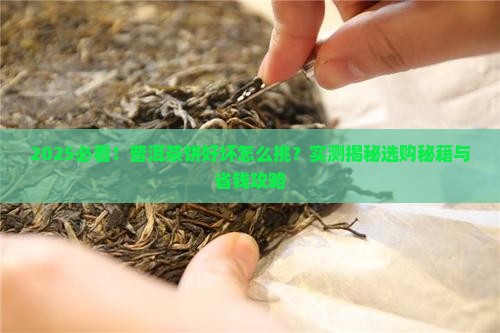普洱茶饼怎么样的好